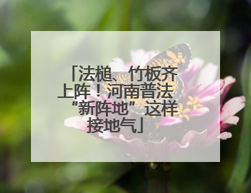 法槌、竹板齐上阵！河南普法“新阵地”这样接地气